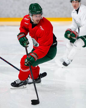 Frölundas Erik Thorell