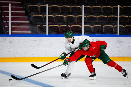 Frölundas Wiktor Nilsson och Erik Thorell