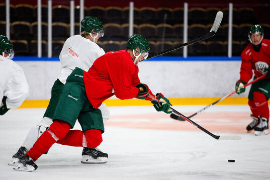 Frölundas Theodor Niederbach och Filip Cederqvist