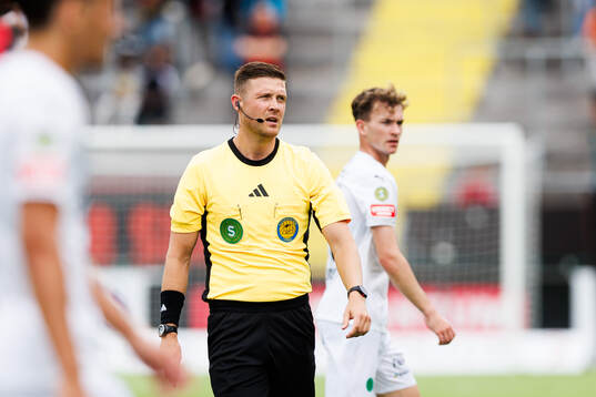 Domare Erik Mattsson