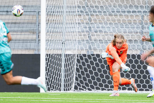 Häckens målvakt Fanney Birkisdottir