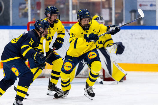 Bläddra bland fler bilder av Ishockey, U17, Sverige, Internmatch