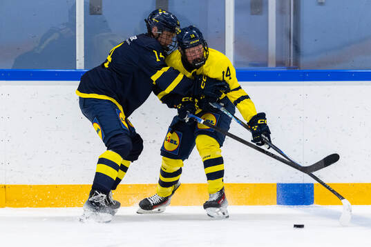 Sigge Larsson och Olle Zetterstedt