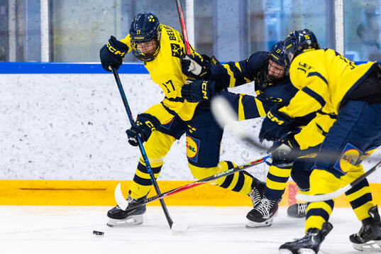 Alfred Nordèn och Lexus Lidmo