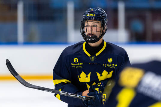 Vilgot Nygren