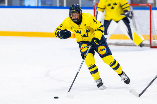 Hugo Eriksson