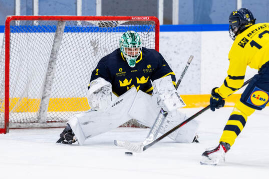Fabian Nääs Salasca