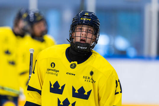 Wilson Boumedienne