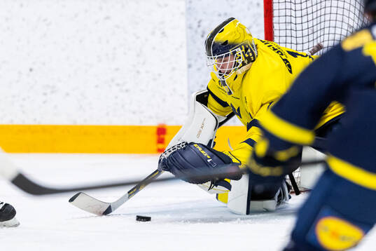 Målvakt Vilmer Forsberg Salén