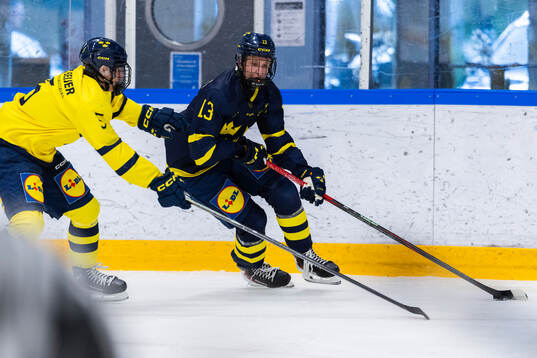 Karl Röshammar och Lexus Lidmo