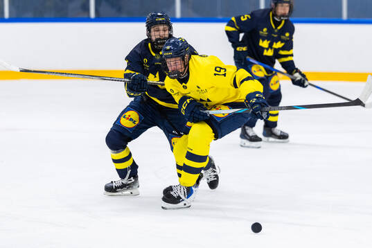 Jesse Suopanki och Alexander Thunblom