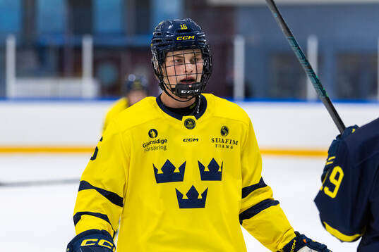Wille Jöhnk Andersson