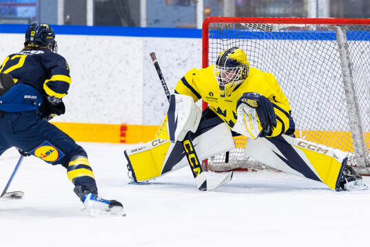 Målvakt Vilmer Forsberg Salén