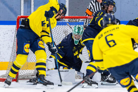 Målvakt Fabian Nääs Salasca