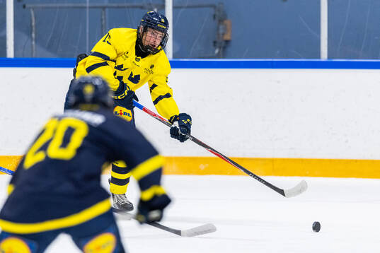 William Olofsson
