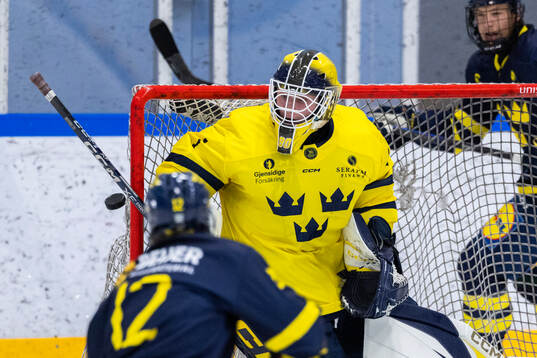 Målvakt Vilmer Forsberg Salén