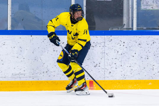 Olle Zetterstedt
