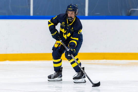 Vilmer Bergström