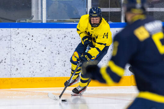 Olle Zetterstedt