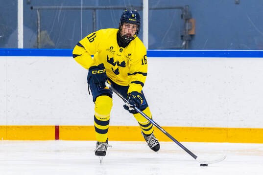 Wille Jöhnk Andersson