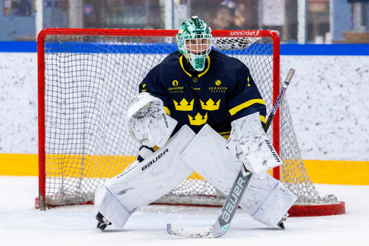 Målvakt Fabian Nääs Salasca