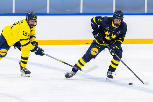 Tom Pråhl och Tom Bjurman