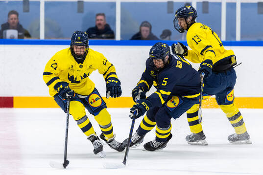 Wilson Boumedienne, Samuel Storck och Jonathan Cremonese
