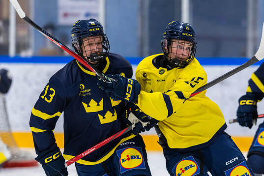 Lexus Lidmo och William Olofsson