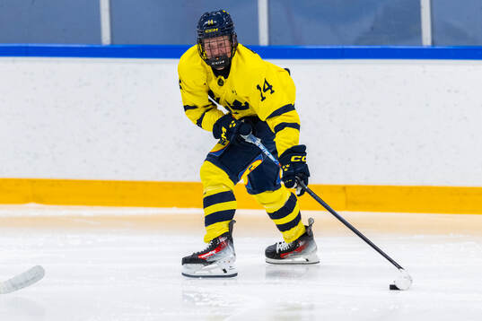 Olle Zetterstedt