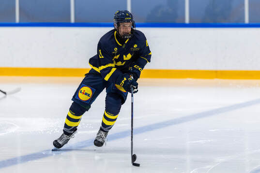 Vilgot Nygren