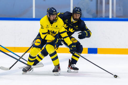 Milan Sundström och Tom Bjurman