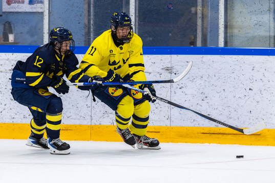 Loui Karlsson och Milan Sundström