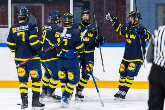 Vilgot Nygren