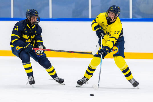 Lexus Lidmo och Alfred Nordèn