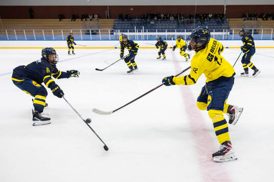Vilmer Bergström och Benjamin Nyström