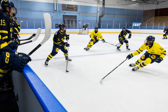 Vilgot Nygren, Milan Sundström, Jesse Suopanki och