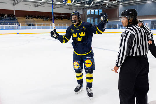 Loui Karlsson