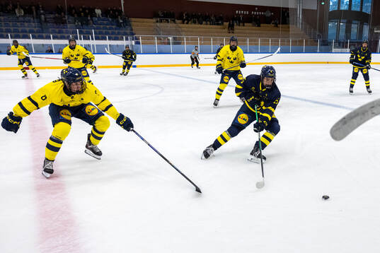 Arvid Billing och Noah Nilsson