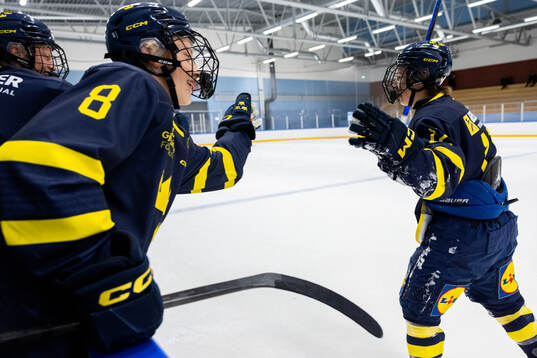 Vilmer Bergström och Loui Karlsson