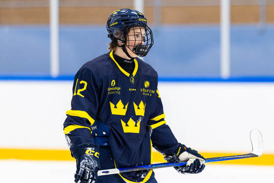 Loui Karlsson