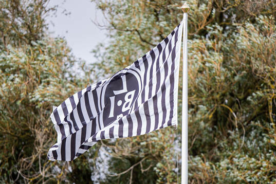 Landskronas flagga