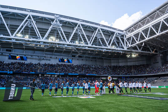 Djurgårdens och Halmstads spelare