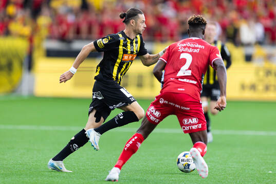Häckens Amor Layouni