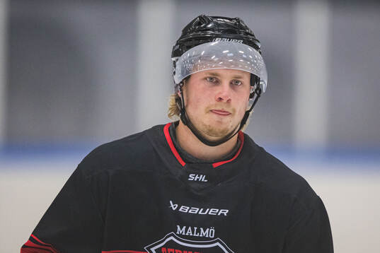 Lauri Pajuniemi