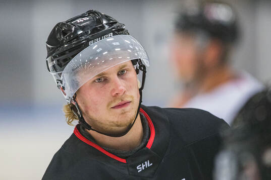 Lauri Pajuniemi