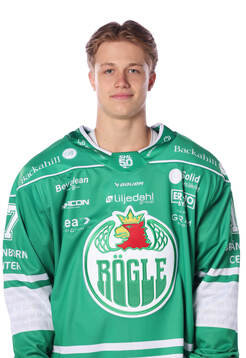 Rögles Vladimir Dravecky