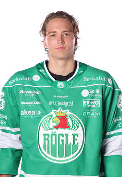 Rögles Gregor Biber