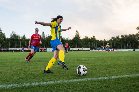 Eskilsminnes Louise Hayden