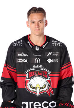 Malmö Redhawks Martin Schreiber