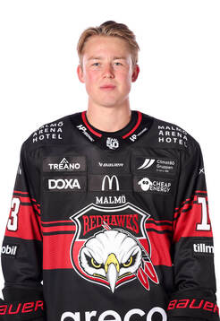 Malmö Redhawks Petter Vesterheim